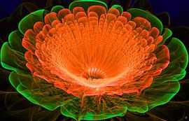 Das Erwachen der Natur von Petra Köhler