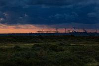 Maasvlakte