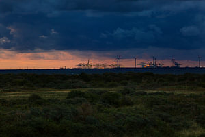 Maasvlakte