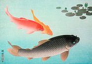 Gewone en gouden karper, Ohara Koson van Meesterlijcke Meesters thumbnail