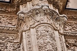 Frog of Slamanca by Jan Maur