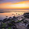 Plage sur Texel. sur Photographie de Justin Sinner (Photographe à Texel)