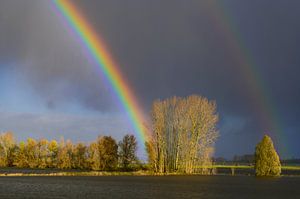 Regenbogen über dem Fluss IJssel