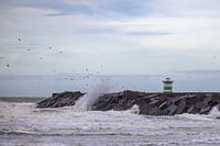 Plage de Scheveningen
