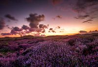 Sunrise on Texel