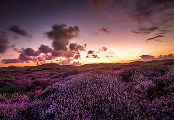 Sonnenaufgang auf Texel von Rob Sprenger