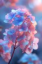 Close-up van een blauwe bloem met roze gloed van Art & Soul Creations thumbnail