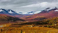 Tombstone Park