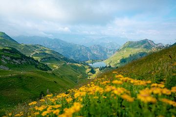 Blumige Aussicht vom Zeigersattel auf den Seealpsee im Allgäu von Leo Schindzielorz