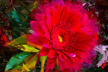 In de tuin van expressies