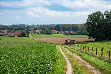 La Flandre rurale : Boutersem sur Werner Lerooy