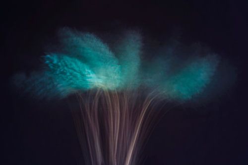 Visions dans l'obscurité