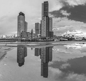 Kop van zuid in Rotterdam 