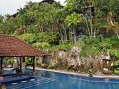 Leeg zwembad op Bali, Indonesië van Raymond Wijngaard thumbnail