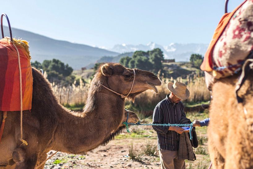 Altasgebergte - Marrakech van Malou Franken