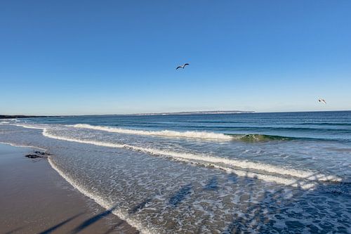 Möve - Déferlement sur la plage de Binz