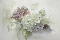Rustig bloemen schilderij:  Hortensia's in pasteltinten