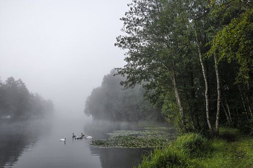 Ochtendmist in september over de Schwackenreuter meren bij Mühlingen - Baden-Württemberg