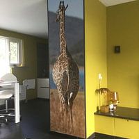 Kundenfoto: Giraffe am Meer von Awesome Wonder, auf nahtloser fototapete