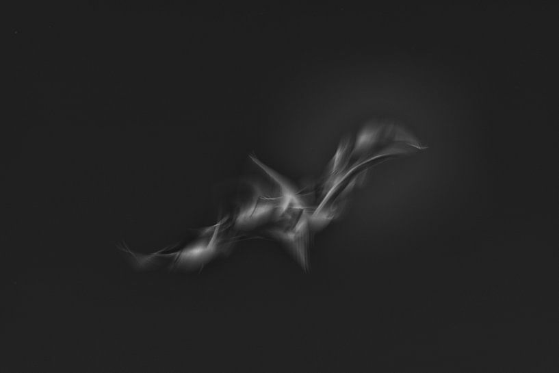 Three birds make up one bird 2 by Anne Ponsen