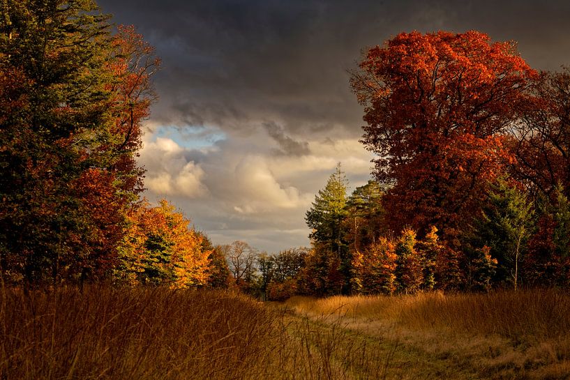 Autumn colors and Dutch skies on the Veluwe by KCleBlanc Photography