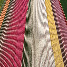 Holland van Boven van Larissa Geuke