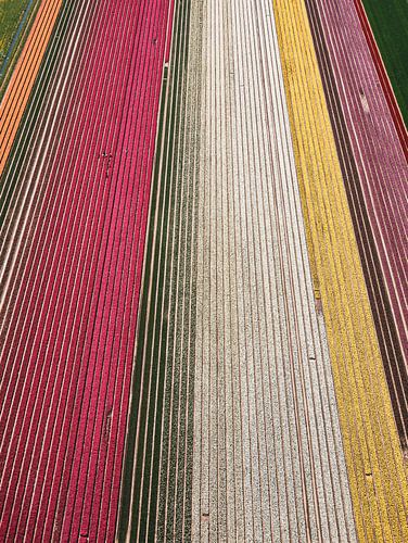 La Hollande vue d'en haut