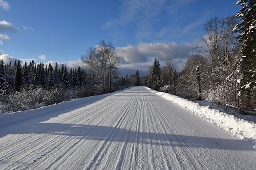 Eine Landstraße im Winter