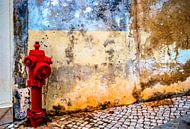 Alte Mauer mit Hydrant von Fred Leeflang Miniaturansicht