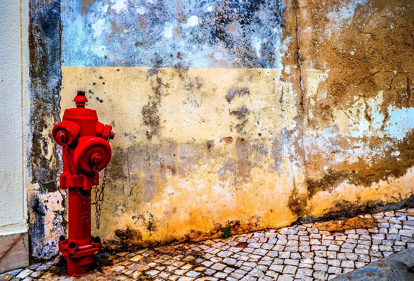 Alte Mauer mit Hydrant von Fred Leeflang