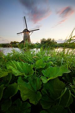 Le soir tombe à Kinderdijk sur Halma Fotografie