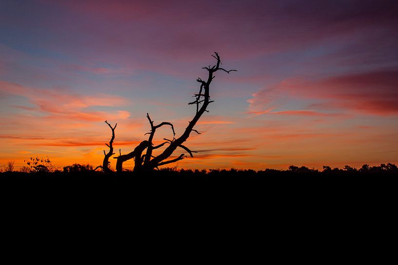 sunrise by ton vogels