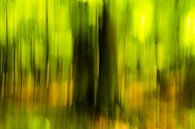 Abstract trees in spring in forest blurring with blur by Dieter Walther thumbnail