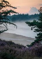 Natuur in Nederland