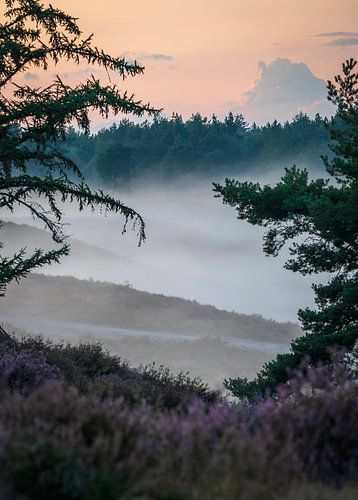 Nature in the Netherlands