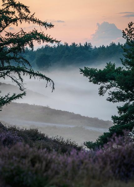 Nature in the Netherlands by Newearthvisuals