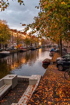 Leiden - Een herfstige Herengracht (0085) van Reezyard