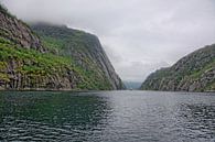 Hurtigruten im Trollfjord van Gisela Scheffbuch thumbnail