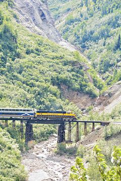 Alaska trein van Jaap Verbruggen