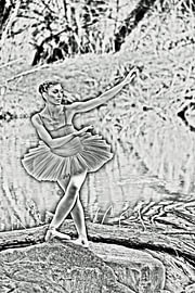 The swan on the riverbank by Albert Zeeb