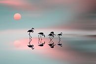 Familie Flamingos, Natalia  van 1x thumbnail