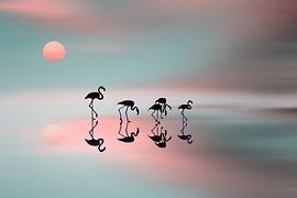 Familie Flamingos. von Natalia