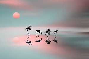 Familie Flamingos., Natalia  von 1x