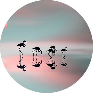 Familie Flamingos, Natalia  van 1x