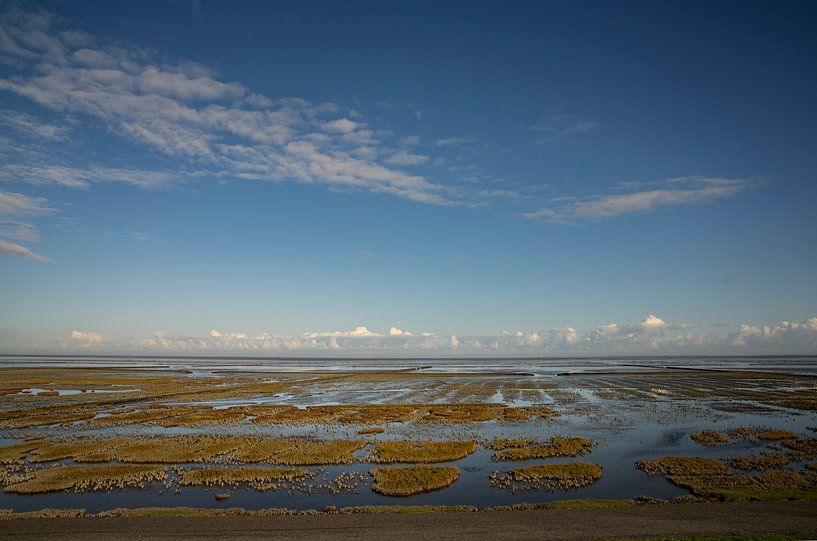 Salt marshes of the Wadden coast in Groningen by Bo Scheeringa Photography