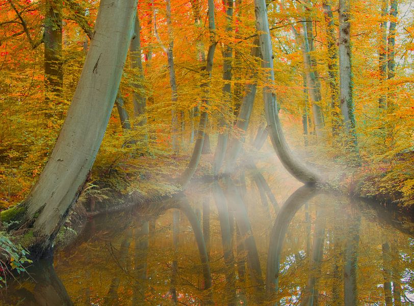 Herfst in Twickel van Ben Bokeh