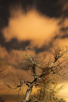 Stars shine through the clouds on a magical night