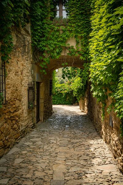 Costa Brava by Frans Scherpenisse