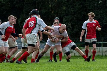 Rugby Diabolos Schilde van Tejo Coen