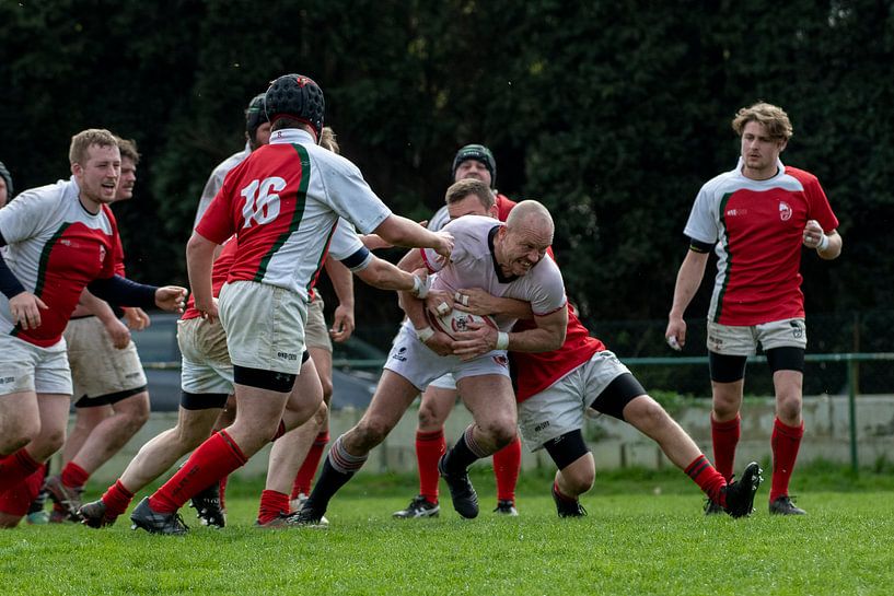 Rugby Diabolos Schilde von Tejo Coen